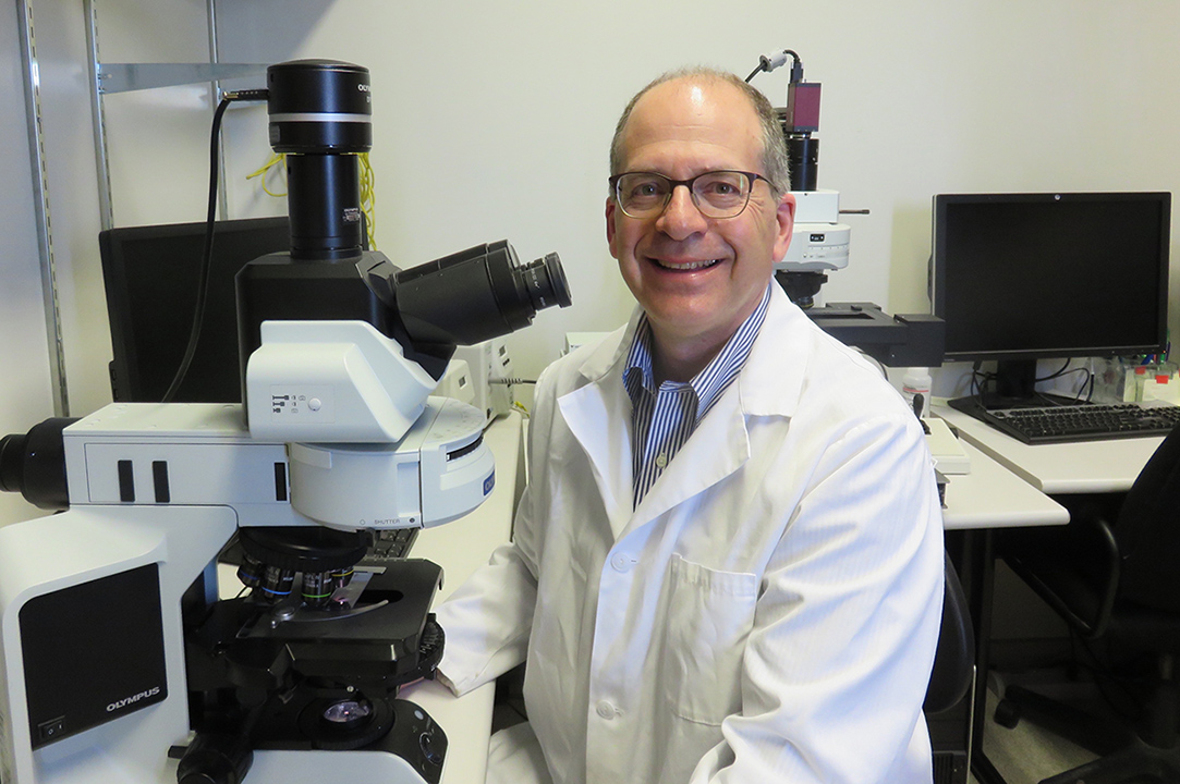 Dr. Michael C. Levin (MD), Saskatchewan Multiple Sclerosis Clinical Research Chair, along with his team of researchers have been working to develop medications that can inhibit the nerve cell damage that occurs due to diseases such as MS. (Photo: Submitted)