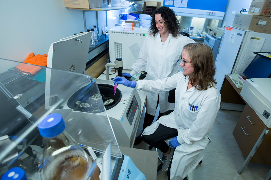 Madison Adolph and Linda Chelico (left) uncovered how enzymes in the immune system may “go rogue” and cause cancer (photo by David Stobbe).