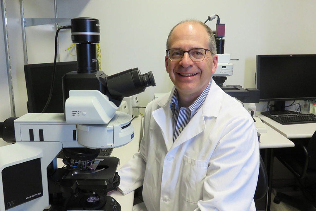 Dr. Michael Levin and his research team are looking for new ways to treat multiple sclerosis by examining how nerve signals become compromised. (Photo: Submitted)