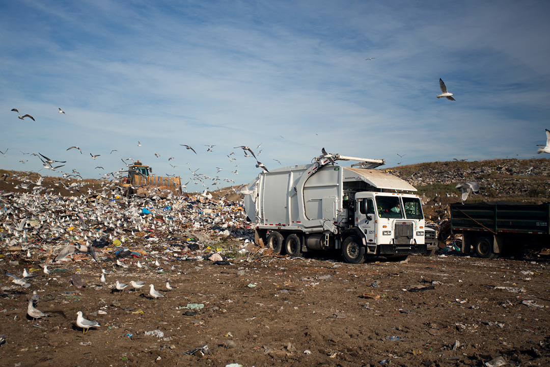Promising Practices in Food Reclamation is proposing immediate and medium term actions for the diversion of edible food from Saskatoon’s landfill. (Photo: City of Saskatoon)