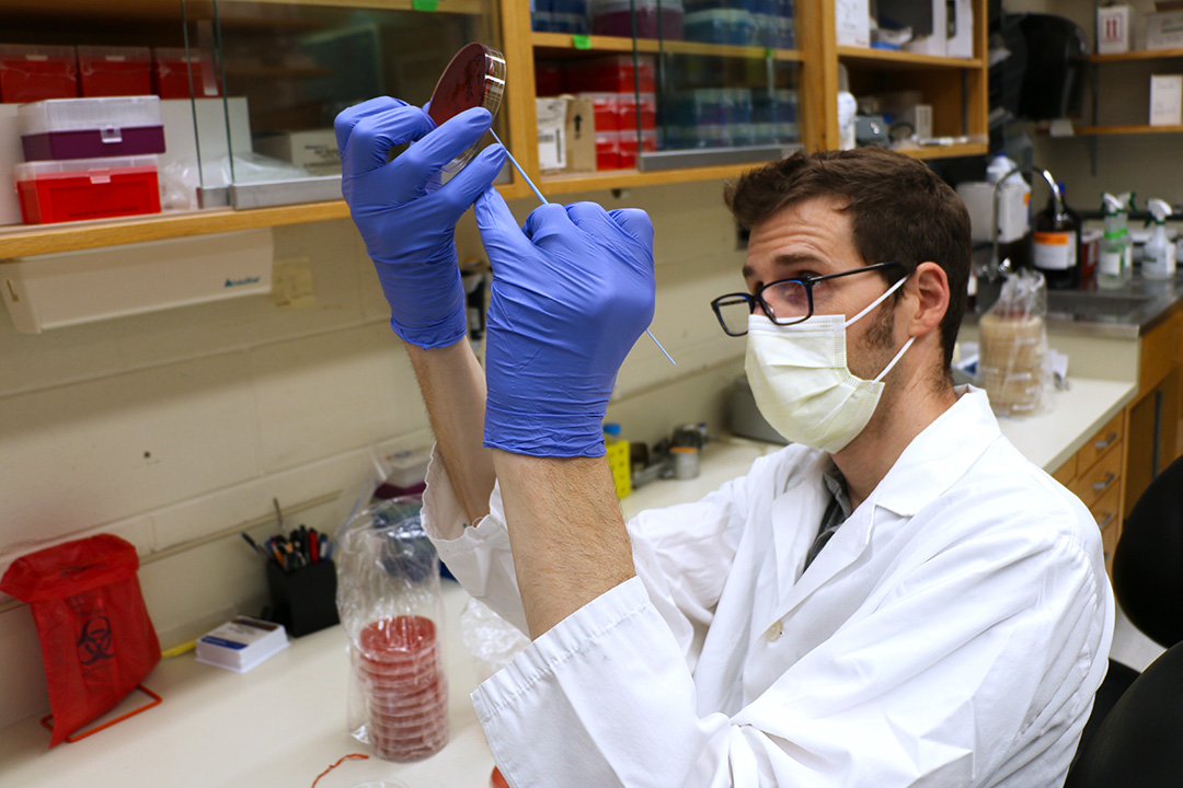 Dr. Joe Rubin (DVM, PhD) in his laboratory at the Western College of Veterinary Medicine at the University of Saskatchewan. (Photo: Jessica Colby)