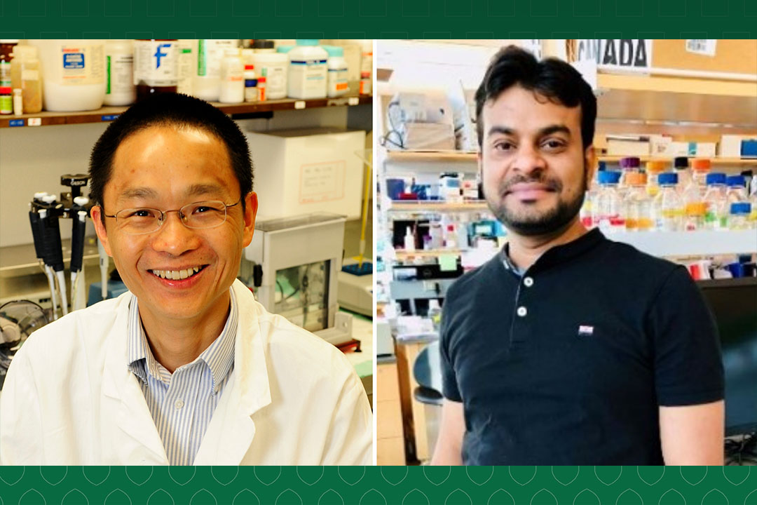 USask associate professor Dr. Yuliang Wu and post-doctoral fellow Dr. Ravi Shankar Singh. (Photos: Submitted)