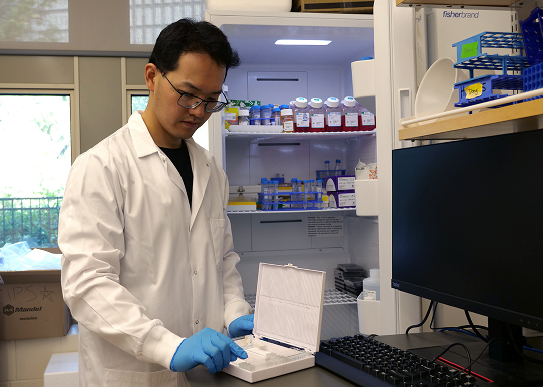 Dr. Jeff Dong (PhD), researcher in USask's College of Medicine, looks at slides in his lab in the Health Sciences building (credit: Matt Olson)