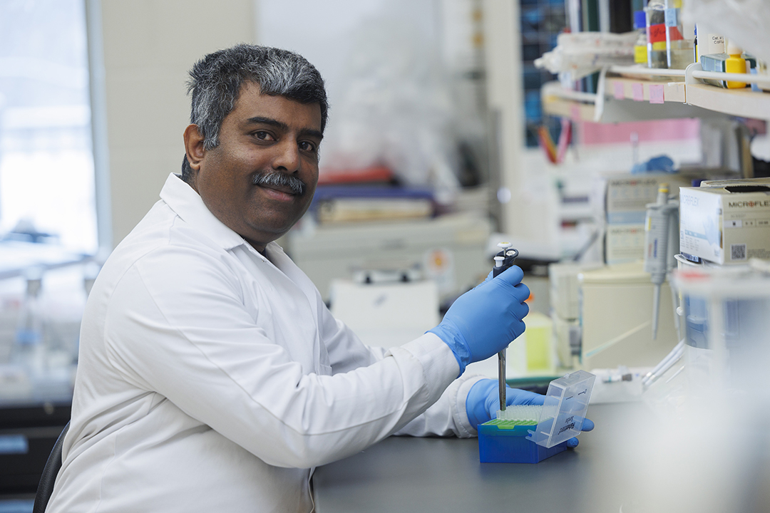 Dr. Anil Kumar (PhD) with the Department of Biochemistry, Microbiology and Immunology in the College of Medicine. (Photo: Dave Stobbe)