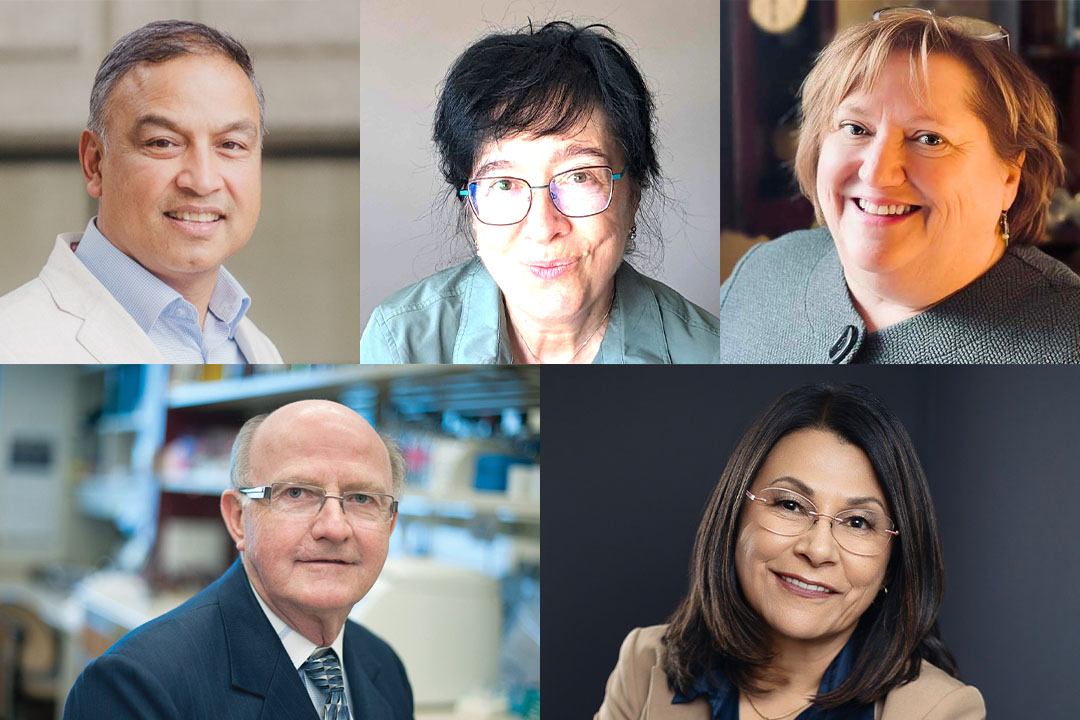 Clockwise from upper left: This year’s distinguished professors are Dr. Nazeem Muhajarine (PhD), Dr. Julita Vassileva (PhD), Dr. Valerie Verge (PhD), Dr. Verna St. Denis (PhD), and Dr. Lorne Babiuk (PhD). (Photos: Submitted)