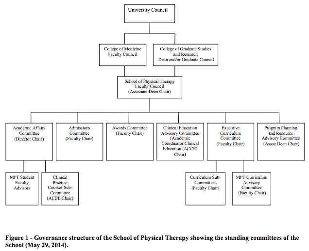 Governance structure of the School of Physical Therapy 