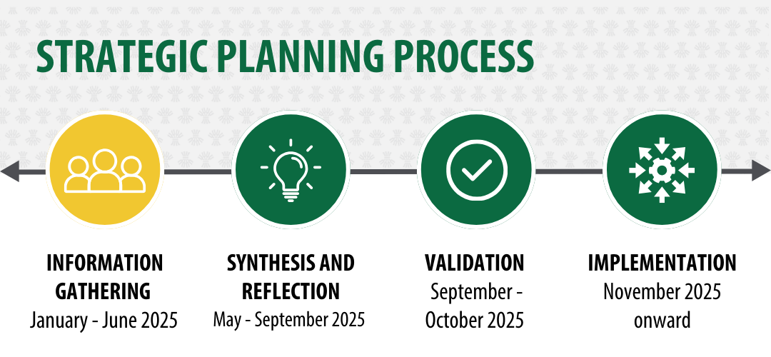 Strategic planning timeline