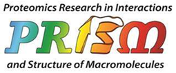 PRISM logo
