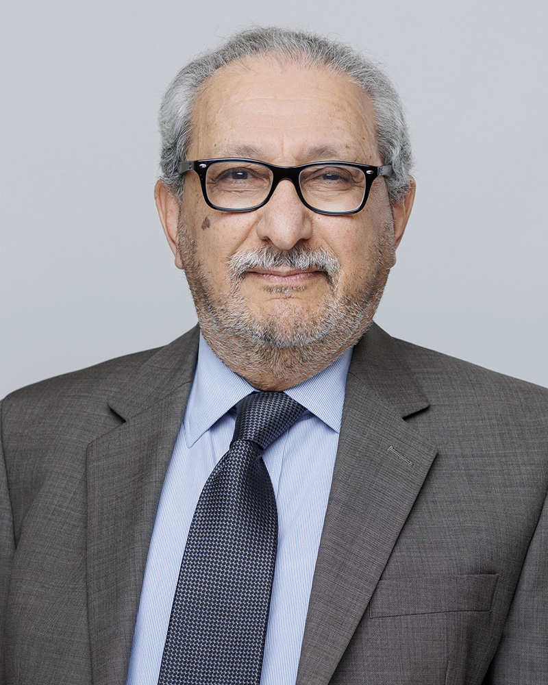 Picture of Dr. Falah Majid