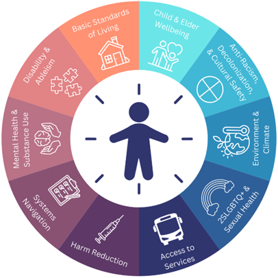 10 priority health concerns graphic